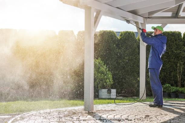 Spring Cleaning in Imlay City, MI